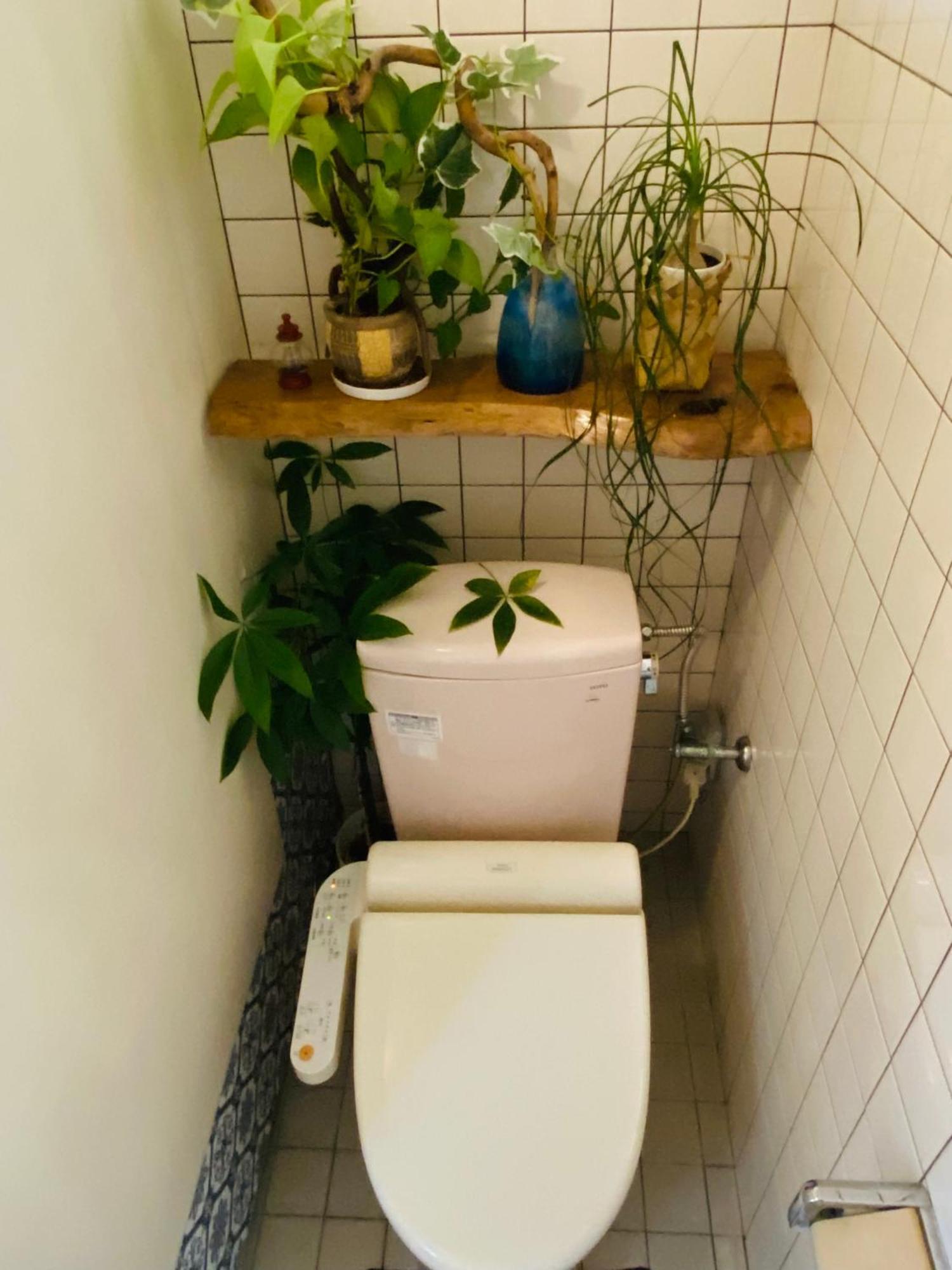 Irodoru Appartement Ishigaki  Buitenkant foto